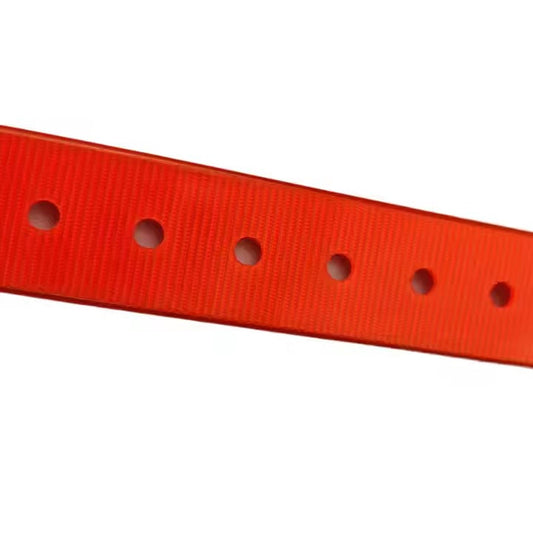 Personalized Pet Dog Collar & Leash – Training & Walking Gear