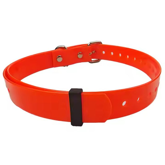 Personalized Pet Dog Collar & Leash – Training & Walking Gear