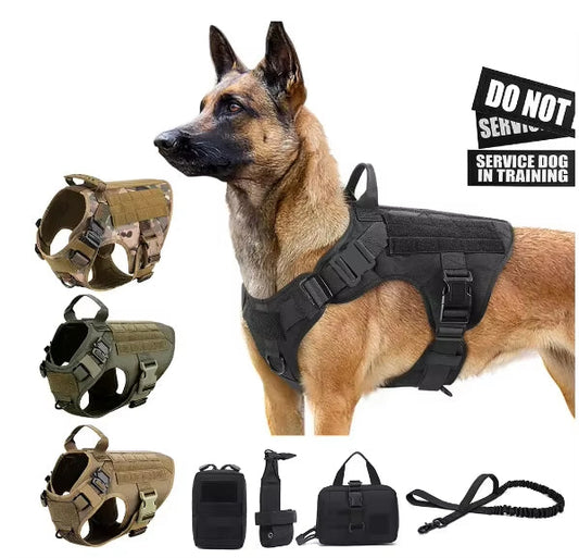 Luxury Pet Harness & Leash Set – Nylon Camouflage Dog Chest Harness